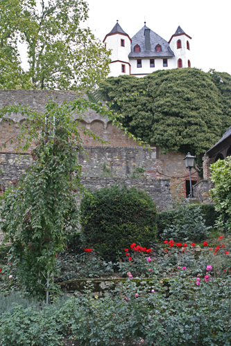 Eltville - Kurfürstliche Burg mit Rosengarten im Burggraben